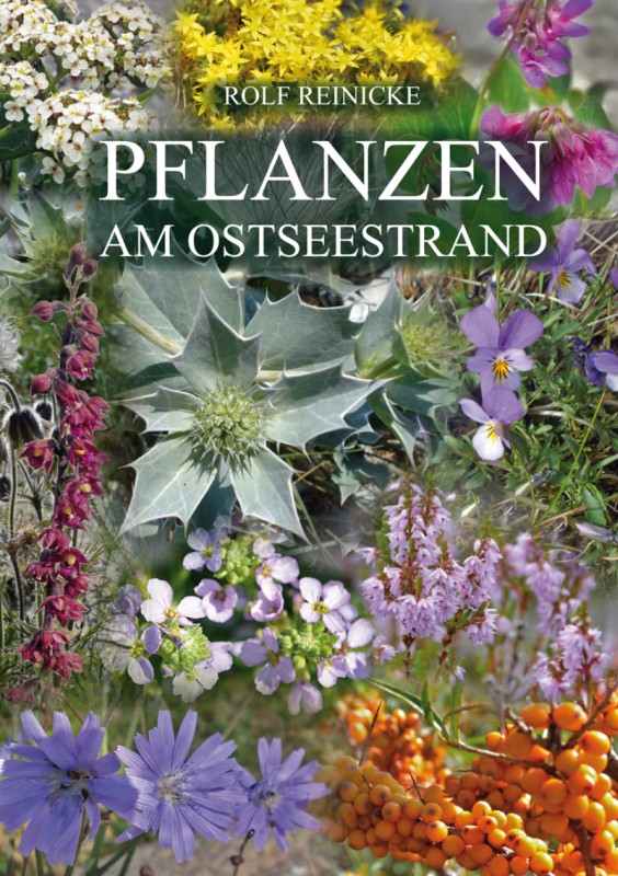 Rolf Reinicke - Pflanzen am Ostseestrand